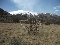 Serra_Pizzuta - 20100321 085.jpg